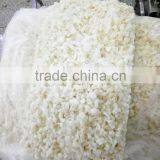 Broken Rings /chopped Meat of Squid Wings for TAIWAN Market thumbnail-6