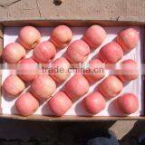 Fuji Apple thumbnail-1