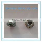 Flange Hex Nut thumbnail-2