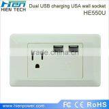 America Type USB Wall Socket 1 Gang 2 USB Ports