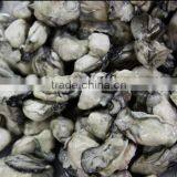 Frozen Shells Meat Fresh Pacific Oyster Meat