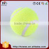 BSCI Approval EN71-Certified Availabled Training LEVEL AA Signature Jumping Tennis Ball thumbnail-4