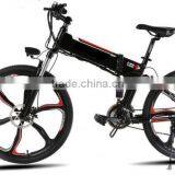 Factory Wholesale Foldable 20' 36V 250W Adult 48V E-Bike