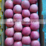 Fresh Apples thumbnail-5