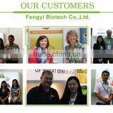 Wheat Polypeptides China Manufacturer thumbnail-3
