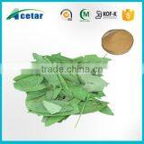 HACCP factory manufacturing senna extract