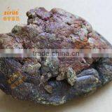 Bulk Natural Raw Propolis From Manufacturer