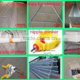 2016 Best Sale China Cage for Chickens Used Poultry Chicken Cage thumbnail-6