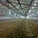 Automatic Poultry Farm Equipment thumbnail-1