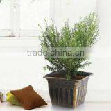 Rinse Paint Flower Pot thumbnail-1