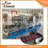 Factory Price Cup Mineral Water Filling and Sealing Machine thumbnail-3