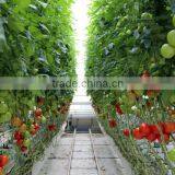 Polycarbonate Sheet Greenhouse-3 thumbnail-5