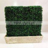 2017 SJ0032008 Hot Sale Artificial Boxwood Hedges for Outdoor UV Plastic Boxwood Hedges thumbnail-1