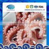 New Arrival Fresh Frozen Seafood Baby Octopus With Cheaper Price thumbnail-1