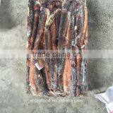 SQUID WHOLE of Illex Squid thumbnail-1