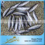 Hot Selling 18 Months Shelf Life Good Quality About Frozen Bonito thumbnail-2