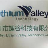 shenzhen lithium valley technology co., ltd