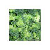 Sell Frozen Broccolis thumbnail-1