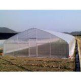 Low Cost Greenhouse of High Quality thumbnail-2