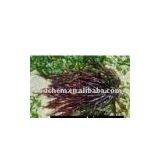 Agar-Agar thumbnail-1