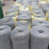 Factory Price Woven High Tensile Strength Gabion Mesh for Sale