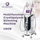 Multi-function Cryolipolysis Slimming Machine US09