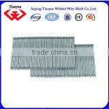 Hot Sell Common Iron Nails(15 Years Factory) thumbnail-5