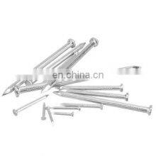Galvanized Concrete Nails in Material 55# for Construction thumbnail-1