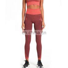 2021 New Arrival Women Yoga Gym Leggings Women Sport Fitness Workout Ladies Leggings thumbnail-1