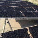 Japanese Soup Edible Seafood Dired Laver Seaweed thumbnail-5