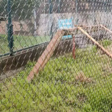 Factory Supply China Stainless Steel Wire Rope Zoo Netting for Aviary Mesh Zoo Mesh thumbnail-5