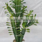 High Simulation Indoor Decoration Cactus Plants Artificial thumbnail-1