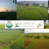 Carmel Organics Private Limited company overview - view 1 thumbnail