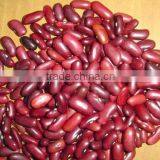 Bean Canned Packing Machine