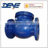 Brass or Bronze Seal GG25 Swing Check Valve with PN10 PN16 Pressure Air Gas Water