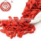 Lycium Barbarum thumbnail-1