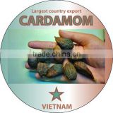 Cardamom big size