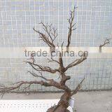 Ceremony Decor Purple Glitter Artificial Dry Tree thumbnail-3