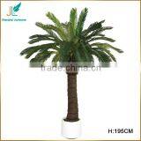 Customized Evergreen Artificial Cycas Revoluta Tree for Sale in Stock thumbnail-4
