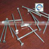 Polished Common Wire Nails Price From Anping Factory