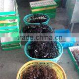 2015new Fashion Sunglasses Innovative Design thumbnail-6