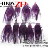 ZPDECOR Factory Bulk Sale Best Selling Dyed Eggplant Trimmed Short Peacock Feathers for DIY thumbnail-2
