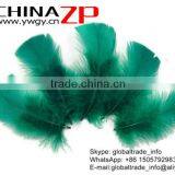 CHINAZP Good Looking Plumage Wholesale Dyed Kelly Green Turkey T-Base Body Feathers for Sale thumbnail-2
