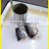 Zhengnong Mackerel Canned Fish Factory
