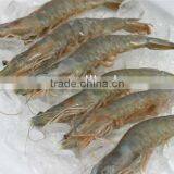 Frozen Whole Round White Shrimp thumbnail-1