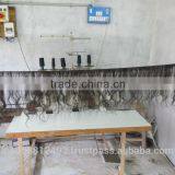 Full Lace & Front Lace Wig thumbnail-2