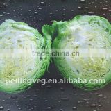 Chinese Round Cabbages New!!HOT!!
