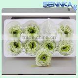 Farm Plant Flower Preserved Green Austi Rose Flowers With Flower Head 4-5cm thumbnail-4
