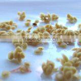 2016 Red and Pink Color NO.JP-09 Hybrid Tomato Seeds for Sale thumbnail-2