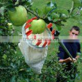 Telescopic Fruit Picker